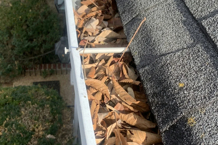 Gutter Cleaning Coeburn